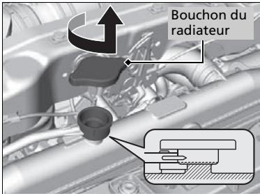 Acura RDX (2019) - Radiateur - 1