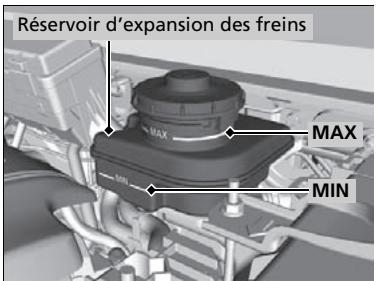 Acura RDX (2019) - Vérification du liquide de frein - 1