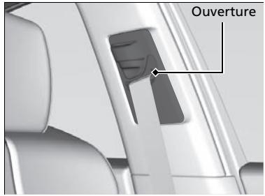 Acura RDX (2019) - Lavage des ceintures de sécurité - 1