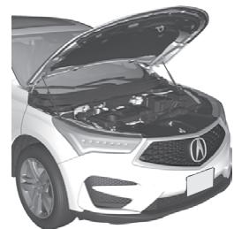 Acura RDX (2019) - Surchauffe - 1