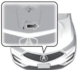 Acura RDX (2019) - P.532 - 2