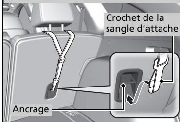 Acura RDX (2019) - ATTENTION - 3