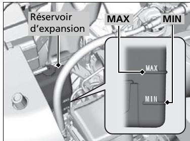 Acura RDX (2019) - Étape suivante - 1