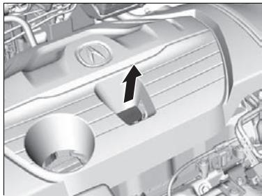 Acura RDX (2019) - Vérification d'huile - 1