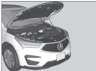 Acura RDX (2019) - Ouverture du capot - 3