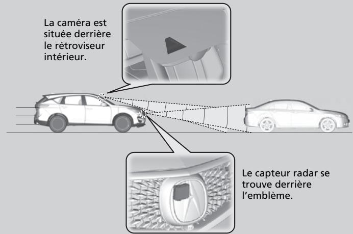 Acura RDX (2019) - Régulateur de vitesse et d'espacement (ACC) avec suivi à basse vitesse (LSF) - 1
