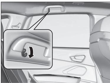 Acura RDX (2019) - Crochets à vêtements - 1