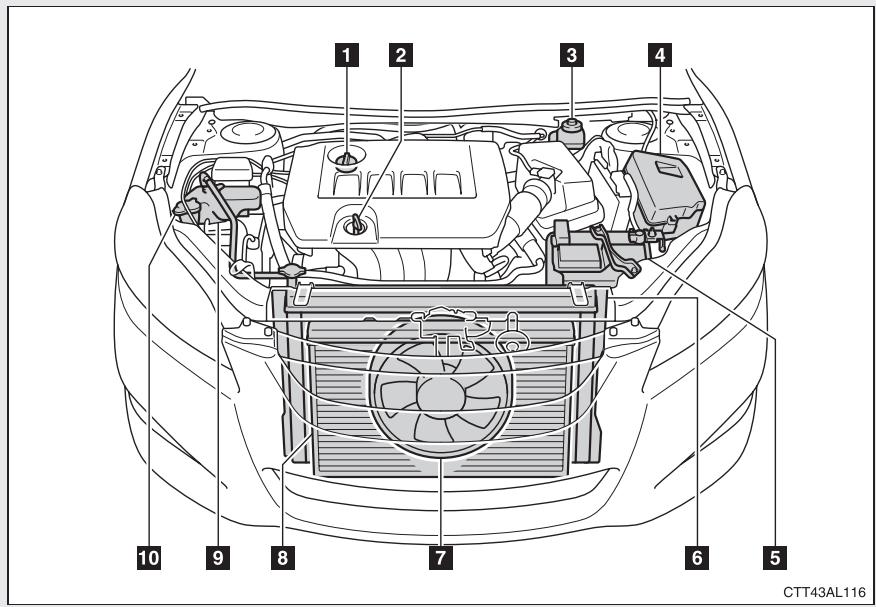 TOYOTA Matrix (2012) - Lorsque you levez votre vehicule - 2