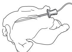 WHIRLPOOL AKZ96240IX - USING THE MEAT PROBE (IF PRESENT) - 2