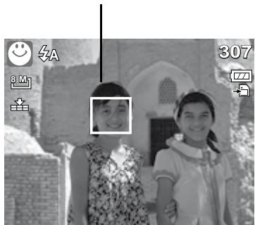 HP SW350 - To activate Smile Capture - 1