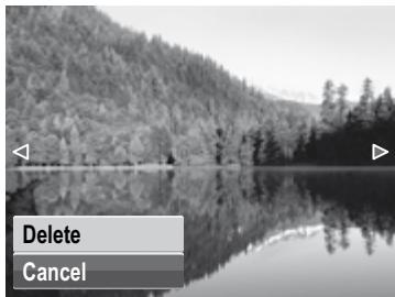 HP SW350 - Delete - 1