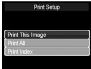 HP SW350 - Connecting the Camera to a Printer - 3