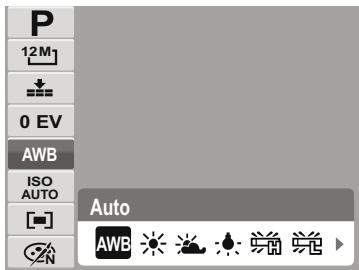 HP SW350 - White Balance - 1