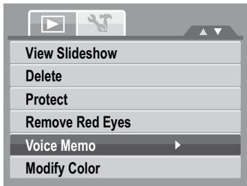 HP SW350 - Voice Memo - 1
