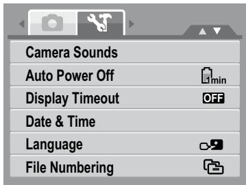 HP SW350 - Using Setup Menu - 1