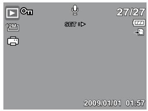 HP SW350 - Changing the LCD Monitor Display - 6