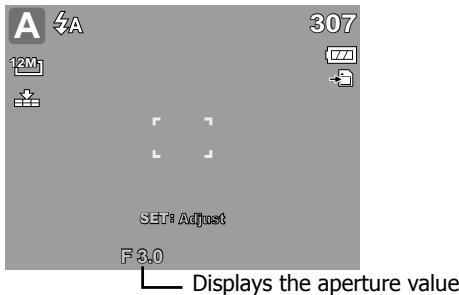 HP SW350 - - Using Aperture Priority Mode - 1