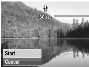 HP SW350 - Voice Memo - 2