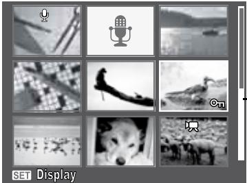 HP SW350 - Viewing thumbnails - 1