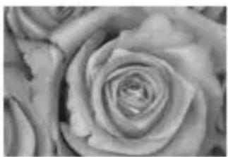 CANON Macro Ring Lite MR14EX - Réglage du ratio de flash - 1