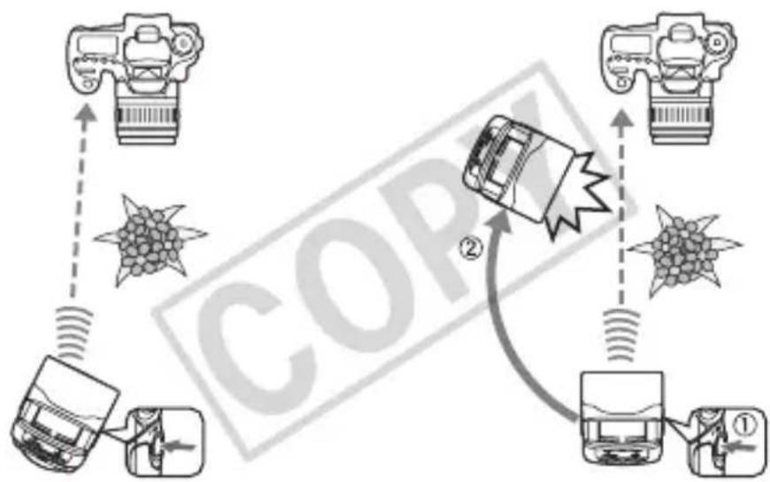 CANON Speedlite 320 EX - Exemple d'utilisation du flash pour la prise de vue avec flash sans fil - 1