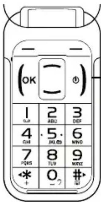 Fysic FM9100 - Carte SIM, carte SD et accu : - 1