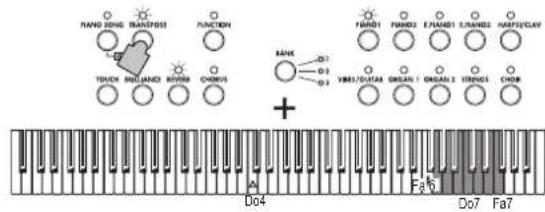KORG SP280 - Fonction Transpose - 2