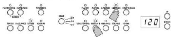 KORG SP280 - Jouer deux timbres à la fois (mode Layer) - 1
