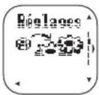 POLAR CS300 - Effacer des valeurs ownindex - 1