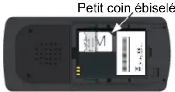 PROFOON SIMPLY - Carte SIM et accu : - 2