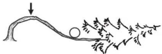 BRAVEN 570 - Sciage d'un arbre ou d'une branche plies - 1