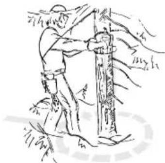 BRAVEN 570 - Émondage des branches basses et voie de retraite - 1