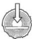 BRAVEN 570 - Sciage - 11