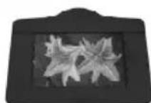 ION Pics 2 PC - PORTES-PHOTO - 2