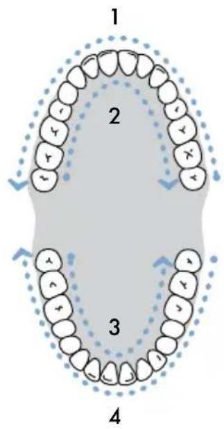 Waterpik Nano Traveler WP300 - Quand vous avez fini - 1