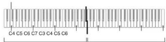 CASIO Privia PX350M - Parmi les quatre touches Do du clavier gauche, appuyez sur celle qui doit être le Do moyen. - 1