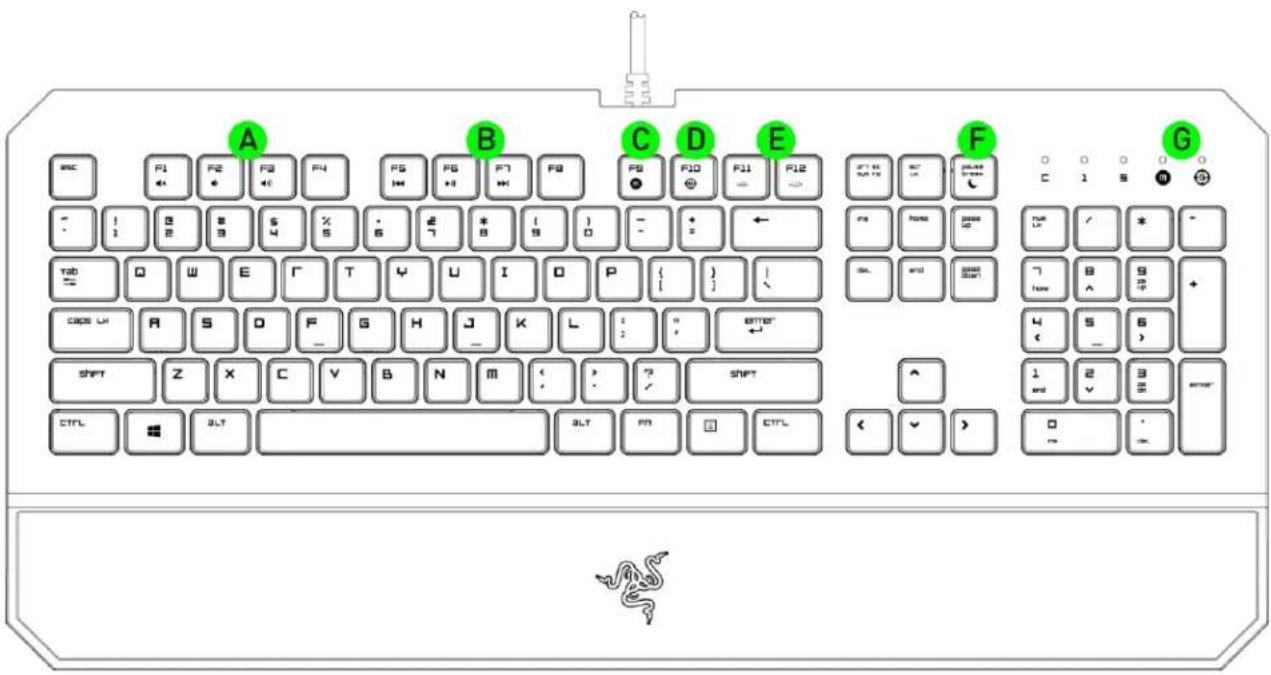 RAZER DeathStalker - DISPOSITION DU CLAVIER - 1
