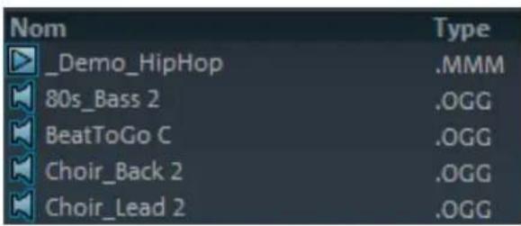 MAGIX Music Maker 2013 - Modes d'affichage de la liste des fichiers - 2