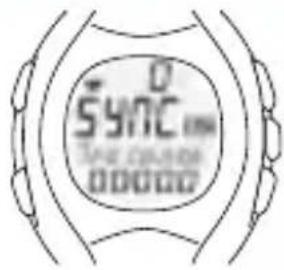 SIGMA RC 12.09 - LIAISON RADIO AVEC L'EMETTEUR R3 - 1