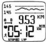 POLAR RS400sd - Yue Lap - 1