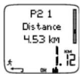 POLAR RS400sd - Vitesse/Allure\* - 1