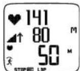 POLAR RS800CX - Vue Distance - 1