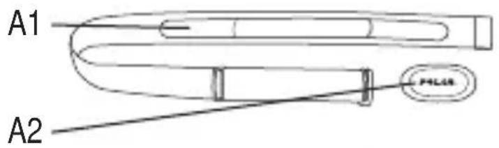 POLAR H6 - 3