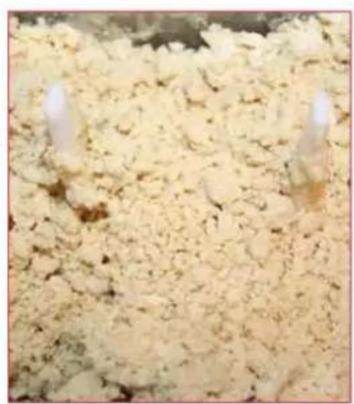 TREBS PastaGusto Pro 99223 - Faire des pates : - 3