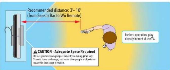 NINTENDO Nunchuk Wii - Game Disc Usage Precautions - 2