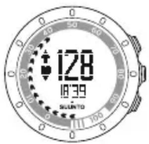 SUUNTO Quest - Pendant l'entrainment assisté - 1