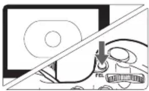 CANON Macro Twin Lite MT24EX - Faites la mise au point sur le sujet. - 1