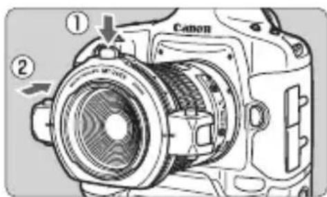 CANON Macro Twin Lite MT24EX - MT-24EX - 1