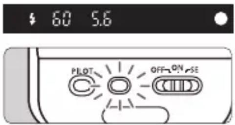 CANON Macro Twin Lite MT24EX - Prenez la photo. - 1