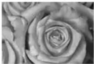 CANON Macro Twin Lite MT24EX - Réglage du ratio de flash - 3